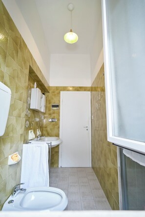 Regadera, secadora de cabello, bidet, toallas 