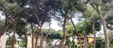 Jardines del alojamiento