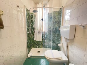 Ducha, secador de pelo, bidé y toallas