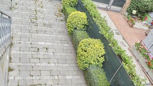 A staircase with a green hedge and a metal fence. - Casa Renata - Three Bedroom Apartment, Sleeps 5 (Rimini)
