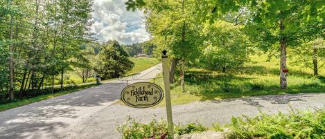 Apartment (0 Bedroom) | Innenbereich