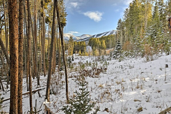 Unclassified image, 1 of 25, button - Ski Retreat w/ Hot Tub Access in Winter Park! (Winter Park)