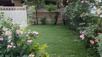 Vue sur le jardin
