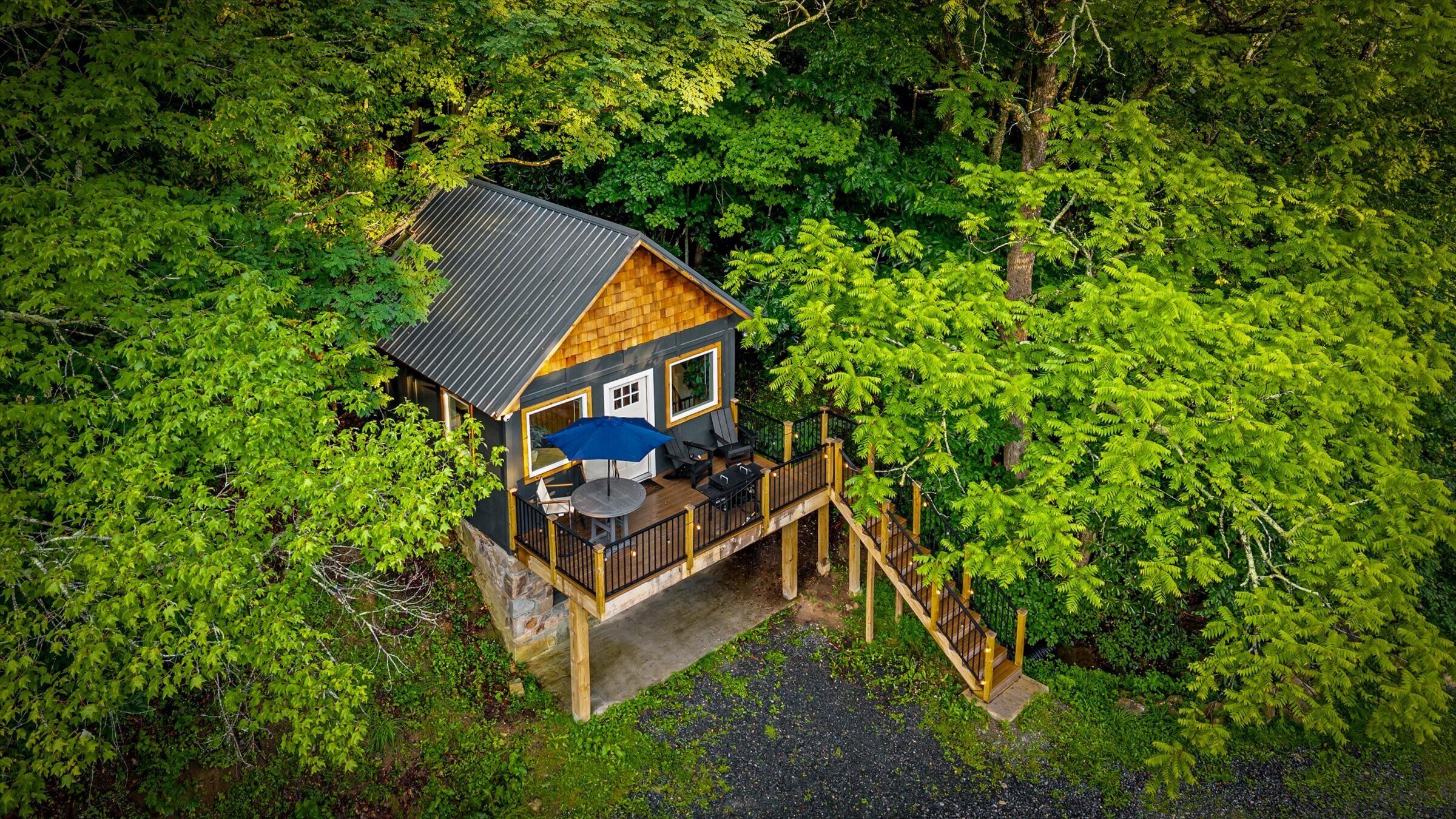 A wooden cabin with a deck, surrounded by dense forest.