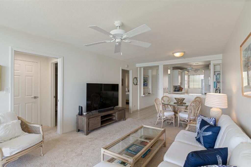 A living room with a television, sofa, coffee table, and a ceiling fan.