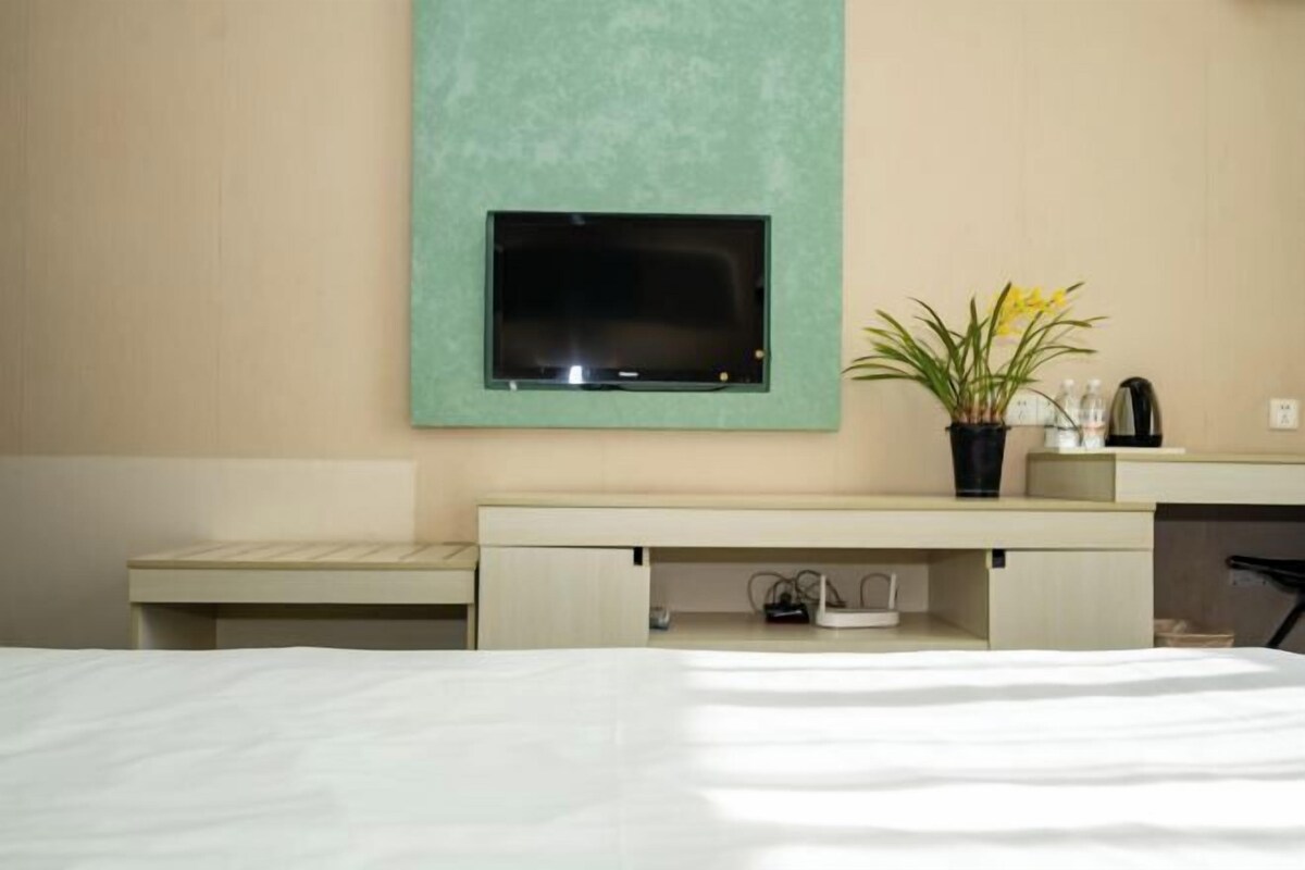 A hotel room with a bed, a TV mounted on a green wall, a desk with a plant, and a coffee maker.