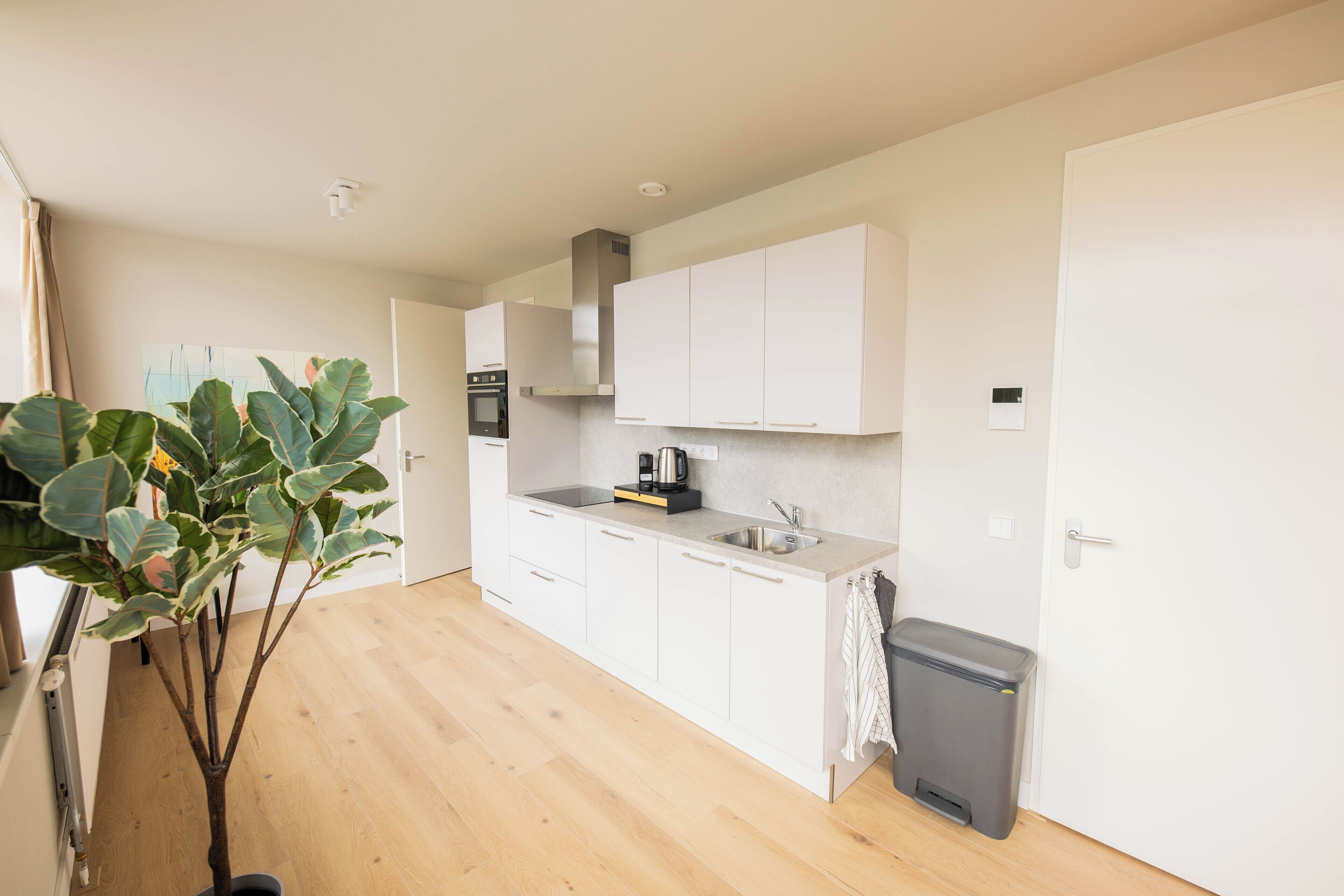 Een moderne keuken met witte kasten, een roestvrijstalen spoelbak en een zwarte prullenbak.