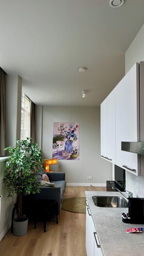 Apartment | Living area | 25-inch flat-screen TV with cable channels - Alphabet Apartments Westersingel (Rotterdam)
