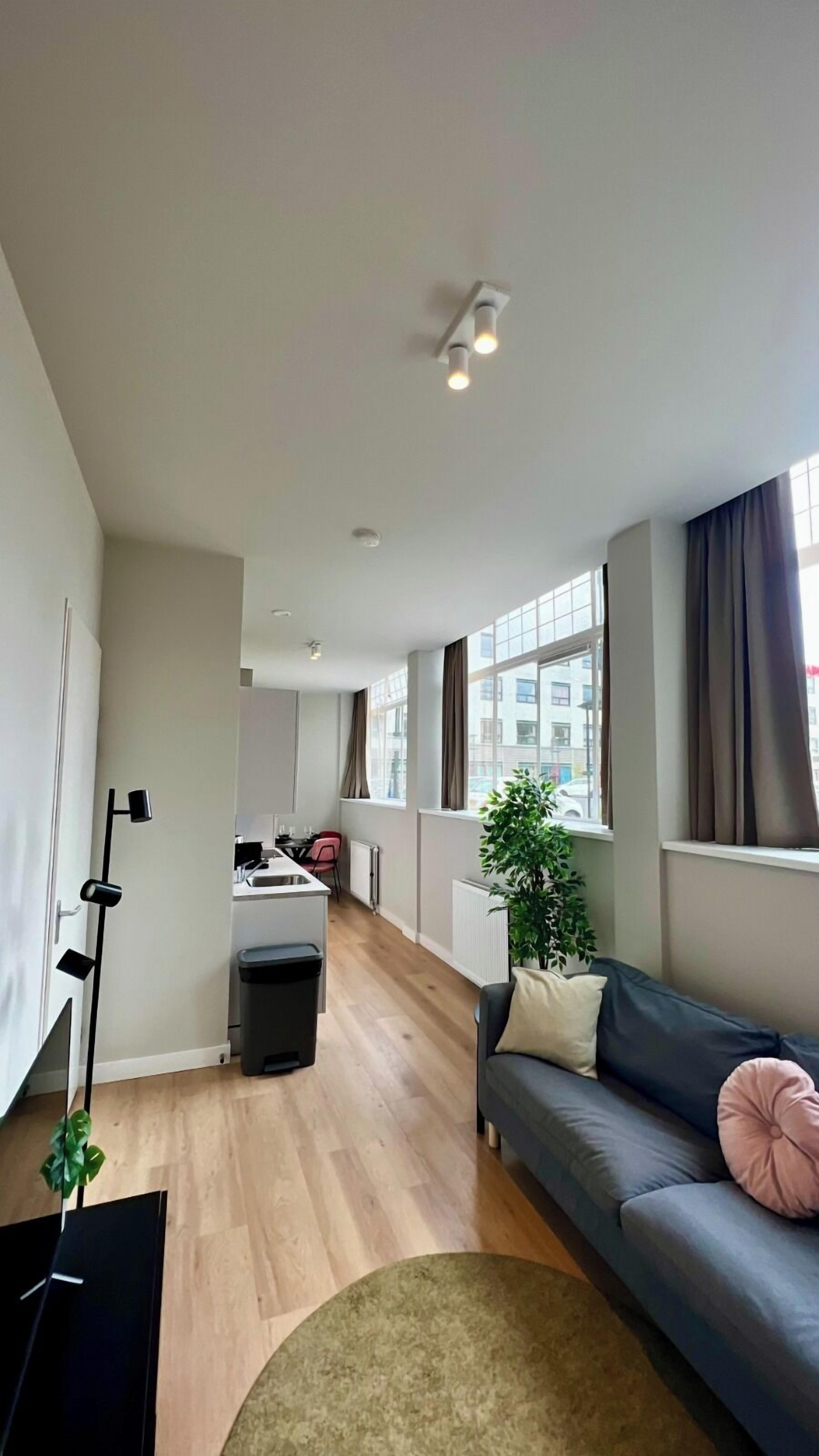 A modern living room with a sofa, a dining area, and a kitchen. There is a large window with curtains, a plant, and a floor lamp.