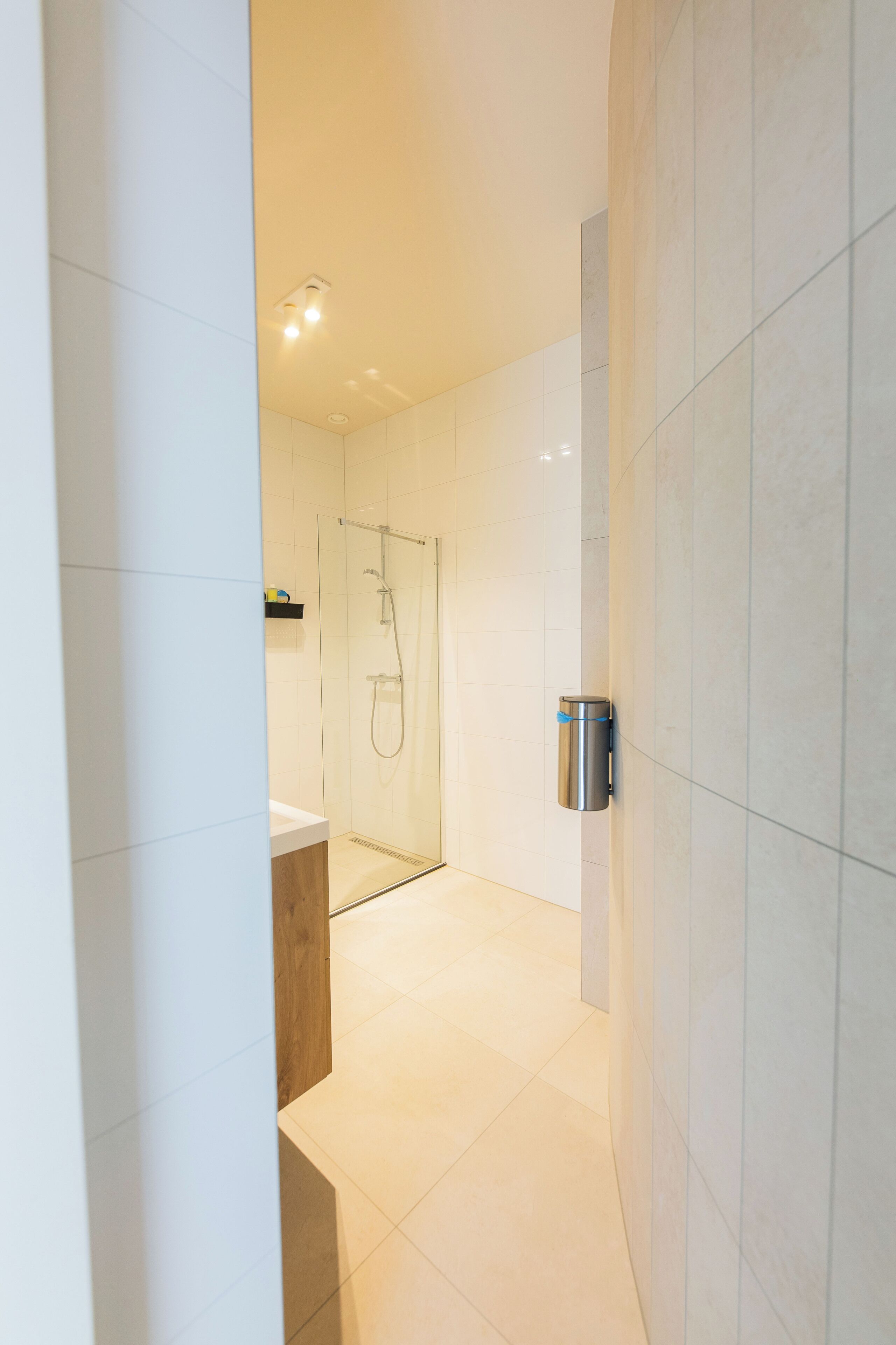 Une salle de bain moderne avec une douche à parois de verre, un lavabo blanc et un distributeur de serviettes en acier inoxydable.