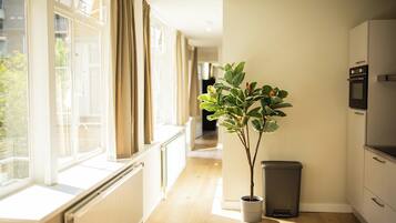 Un pasillo luminoso con una planta en maceta, un radiador y una zona de cocina con armarios y un horno.