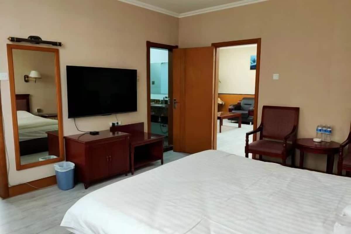 Una habitación de hotel con cama, televisión, escritorio, silla y espejo.