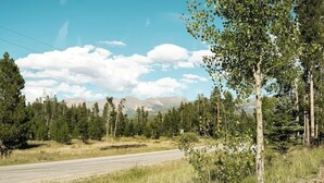 Un camino rural con árboles y montañas al fondo.