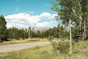 A rural road with trees and mountains in the background.