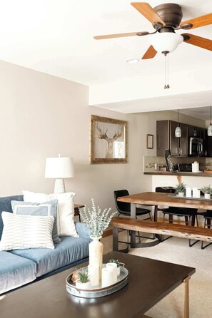 TV, fireplace, offices