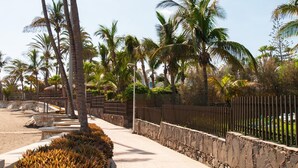 A paved pathway lined with palm trees and a stone wall, leading to a beach area.