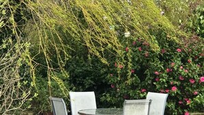 A garden with a table and chairs, surrounded by greenery and flowering plants. - Cozy country cottage in National Park  (Mamhilad)