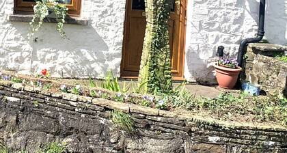 Cozy country cottage in National Park