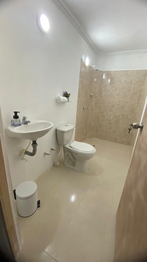 Ducha, toallas, jabón, papel higiénico