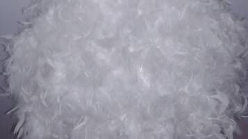 Détail de l’intérieur