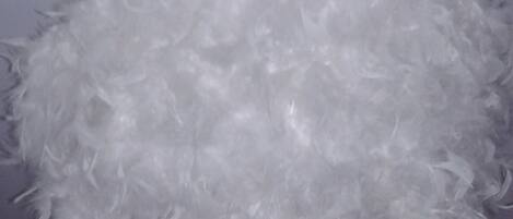 DĂ©tail de lâintĂ©rieur