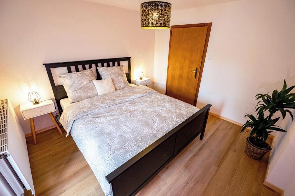 A bedroom with a bed, bedside tables, a lamp, a wooden door, and a potted plant.