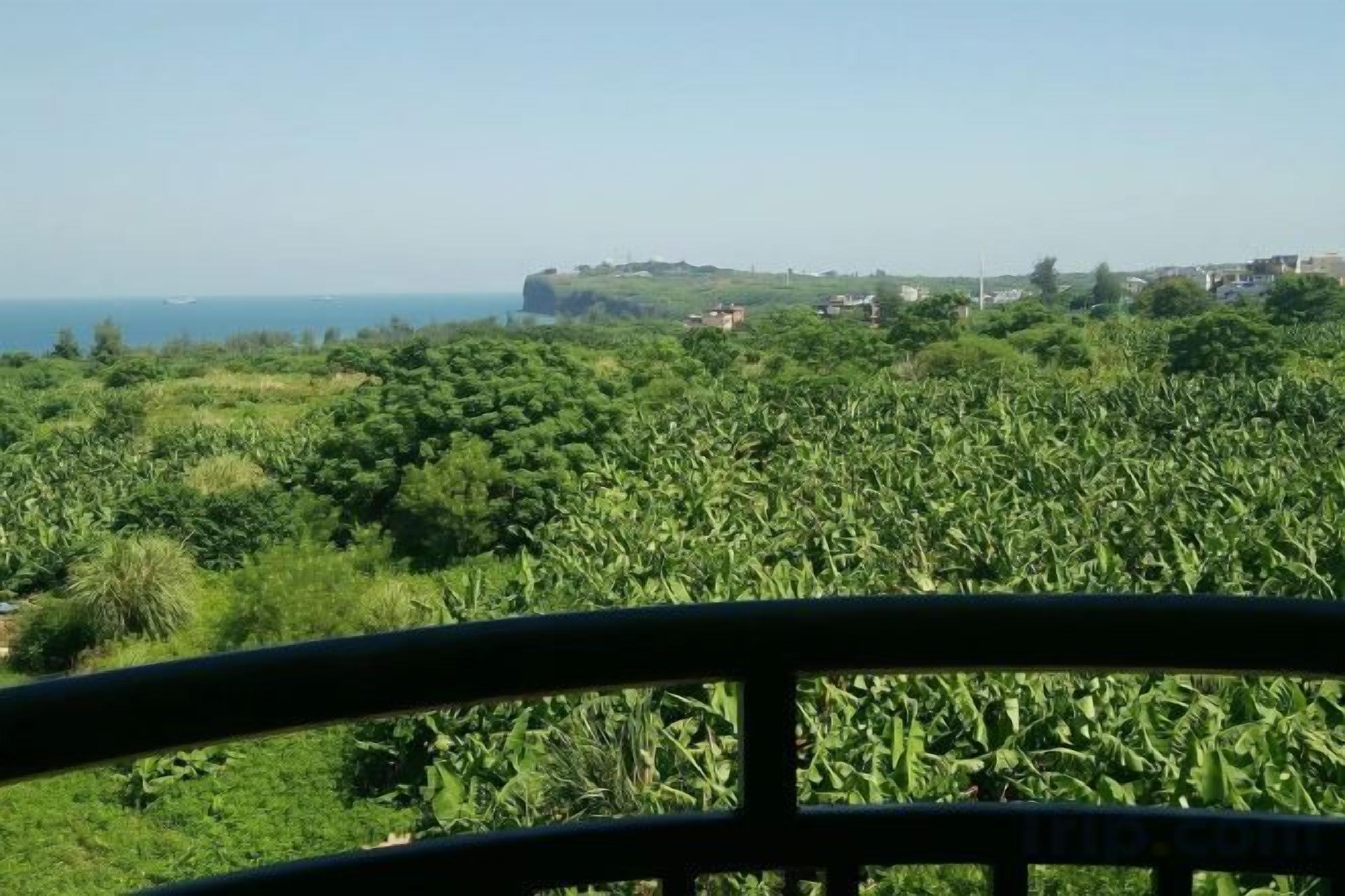 Un paisaje verde exuberante con vista al mar y una colina distante.