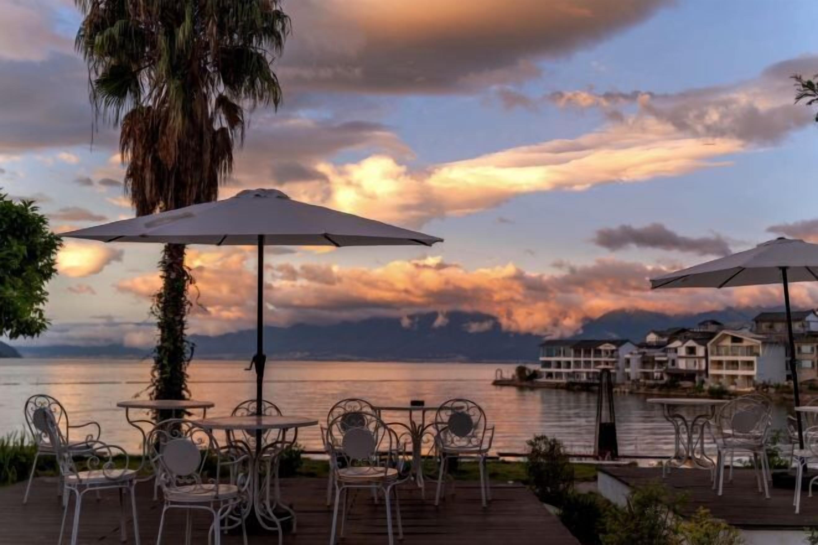 A waterfront patio with outdoor seating, a palm tree, and a view of the water and buildings.