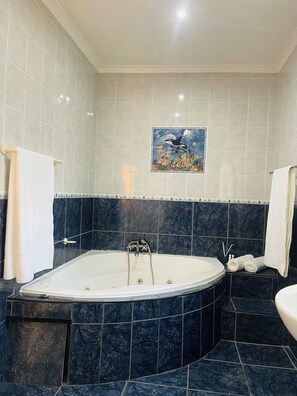 Sèche-cheveux, serviettes fournies, savon, papier toilette