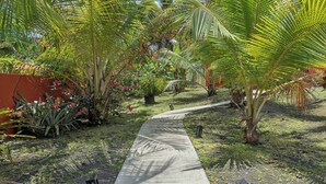 A concrete pathway surrounded by lush tropical plants and palm trees. - Tropical Oasis Retreat & Infiniti Pool (Luquillo)