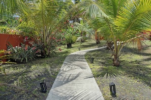 Un sendero de concreto bordeado por exuberante vegetación tropical y palmeras.