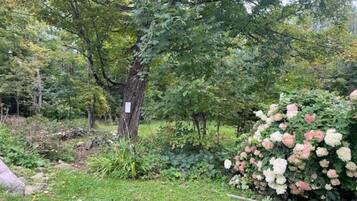 Overnatningsstedets område