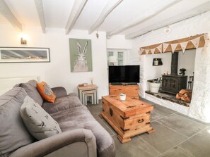 Smart TV, chimenea, reproductor de DVD y libros