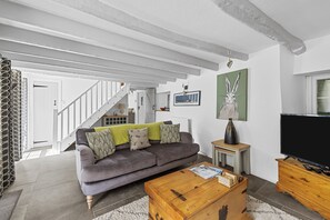 TV connectée, cheminée, lecteur de DVD, livres