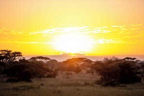 A sunset over a savannah landscape with scattered trees and open grassland. - Escarpment Serengeti Luxury Camp (Serengeti)