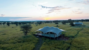 Una carpa safari con una terraza cubierta y un sendero que la conecta, rodeada de pastizales y árboles.