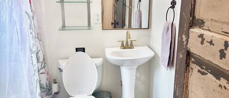 A bathroom with a toilet, sink, and shower curtain.