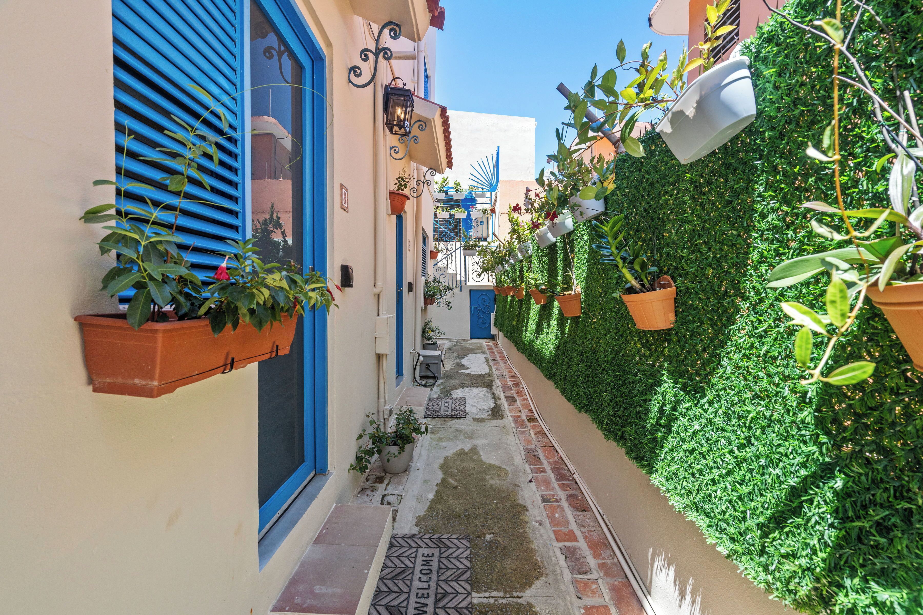 Un carrer estret amb una porta blava, plantes en testos i una tanca verda.