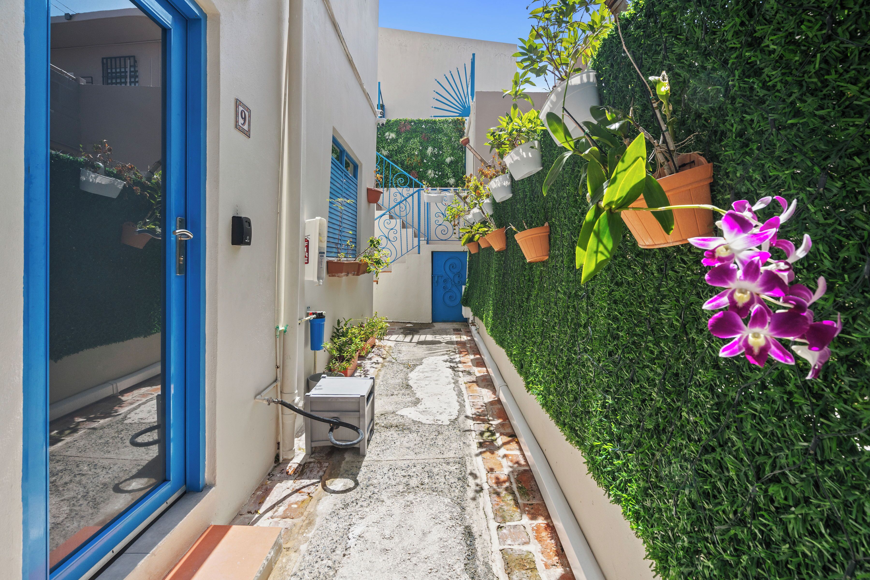 A narrow alleyway with a blue door, potted plants, and a green hedge.