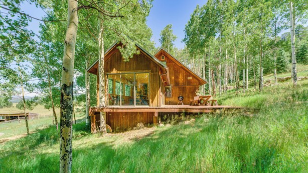 A wooden cabin with a glass entrance, surrounded by tall trees and grassy terrain. - Mountain-View Ranch w/ 200 Acres in Angel Fire (Angel Fire)