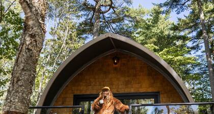 Sunken Escapes Glamping Unit 4