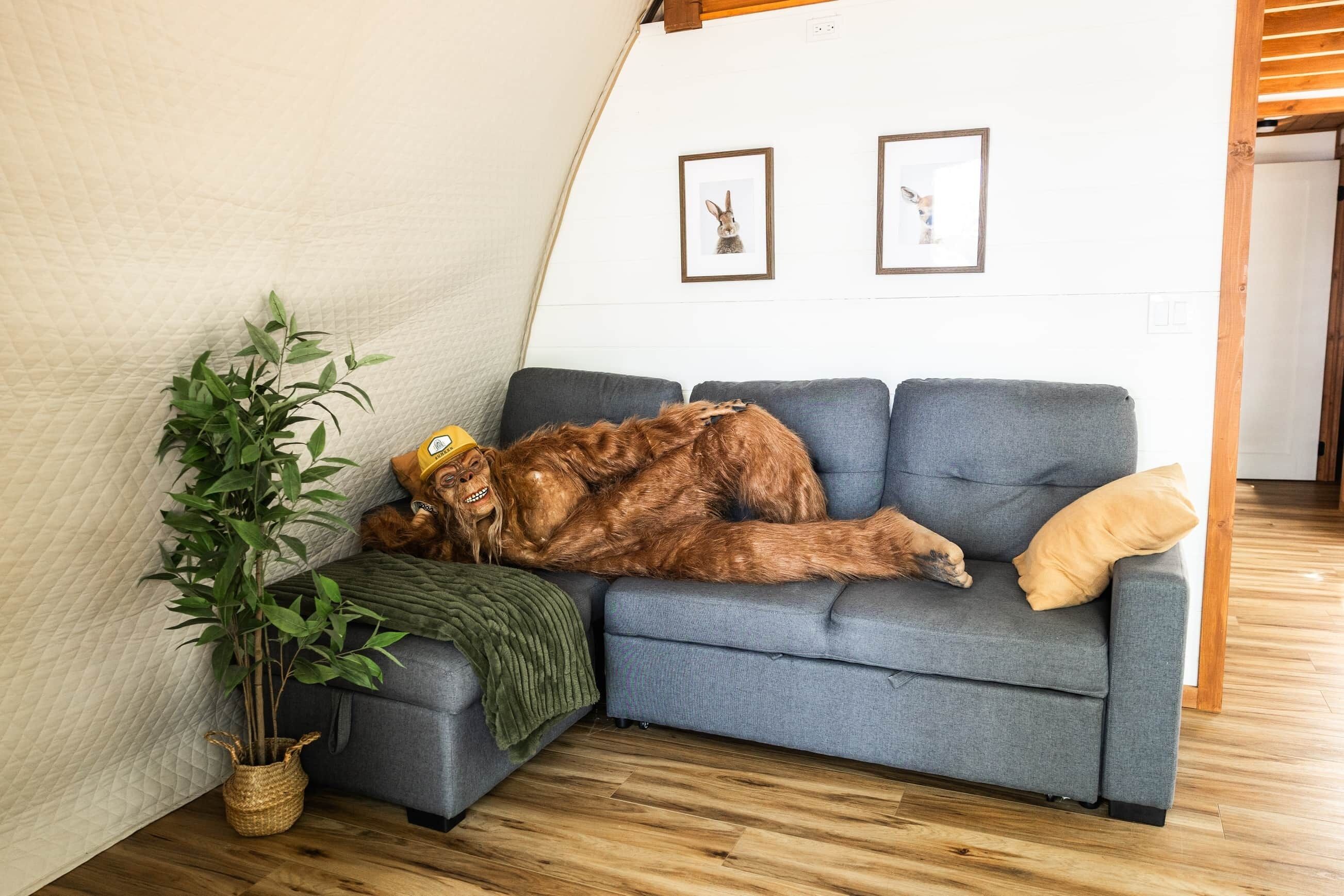 Ein gemütliches Zimmer mit einem blauen Sofa, einer Topfpflanze und gerahmten Bildern an der Wand.