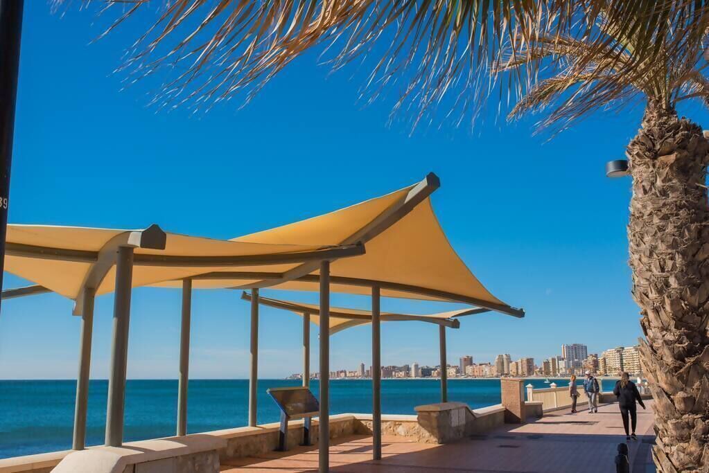 A coastal walkway with shaded seating areas, a palm tree, and a city skyline in the background.