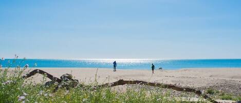 Playa en los alrededores