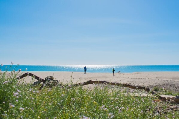 Beach nearby