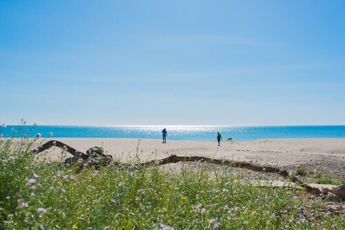 Apartment 50m from the beach