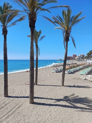 Une plage bordée de palmiers, une rive sablonneuse et un ciel bleu azur.
