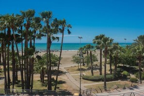 Vista de playa con palmeras, cielo despejado y un sendero que lleva a la playa.
