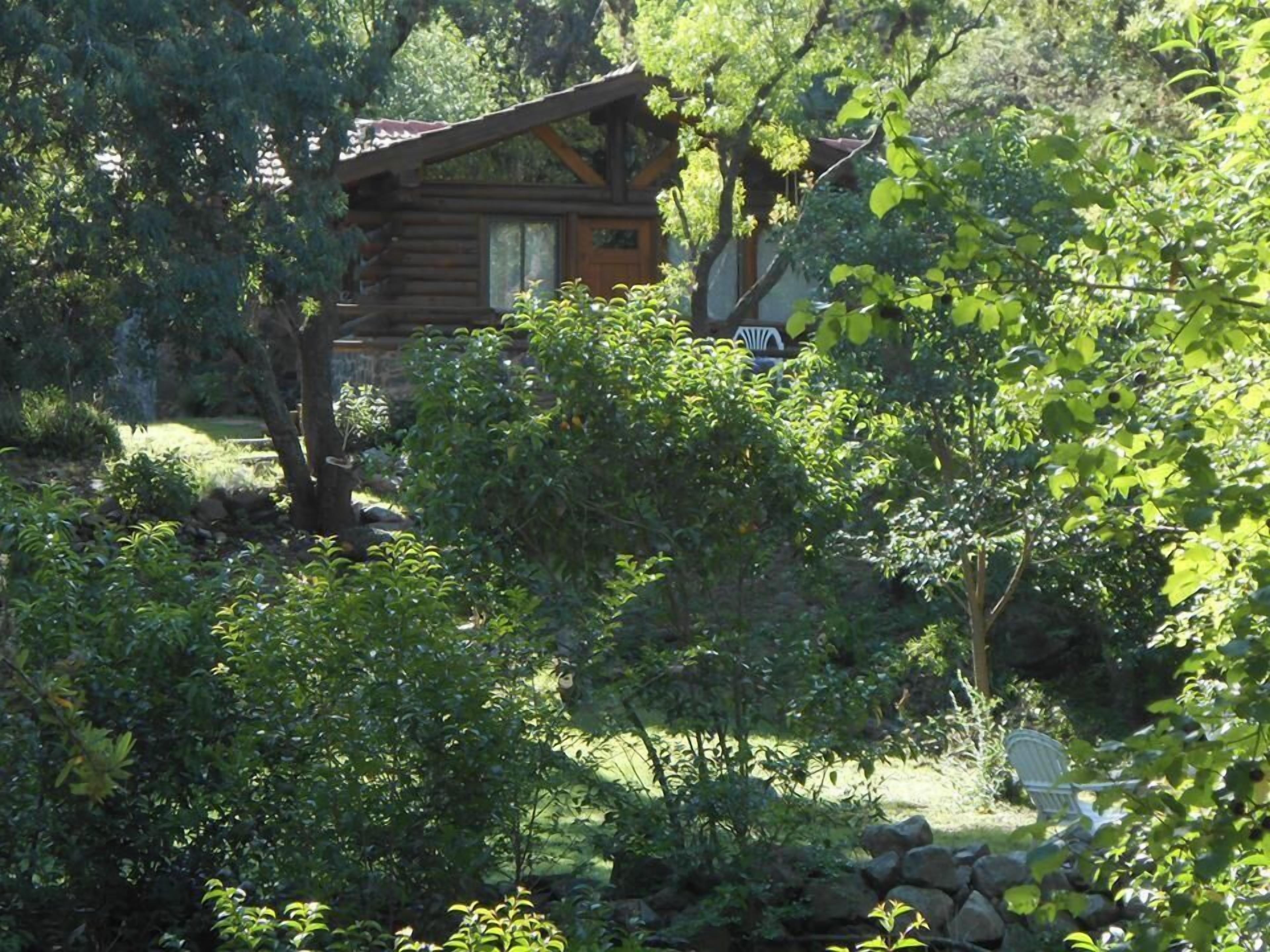 Un chalet rustique en rondins de bois, entouré d’une végétation luxuriante et d’un mur de pierres.