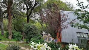 A garden with white flowers, trees, and a building with a corrugated metal roof. - Apart Suites & Cabañas Duendes del Pungo (La Cumbre)